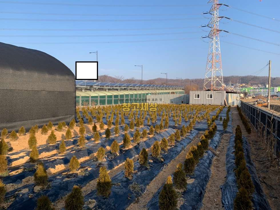 경기 고양일산서구 구산동 220평 농지/고양시 일산서구 구산동/매매가 3억4000만원(평당 154만원) 매매 매물번호 10313 사진 4