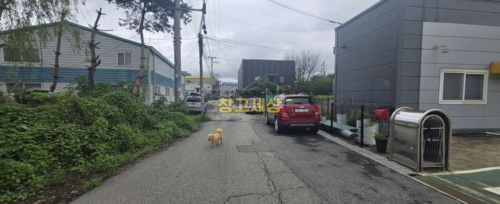 경기 고양일산서구 구산동 130평(425㎡) / 1종근생 / 전면마당 / 내부사무실/ 렉시설인수가능/대형차량OK 월세 매물번호 11695 사진 4